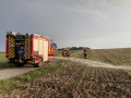 IMG_1637