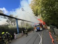 IMG_3588