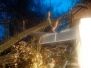 Baum im Haus - 12.11.2017