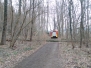 Beseitigung von Bäumen - 06.04.2015