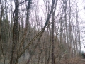 IMG_20150406_102350
