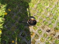 IMG_20190507_1651521