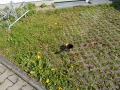 IMG_20190507_1651567