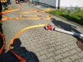 IMG_20190507_1652056