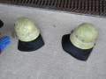 IMG_20200809_0648056