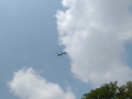 IMG_20180723_1420229