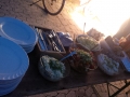 IMG_20140804_211100