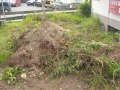 IMG_20140809_104436 Kopie