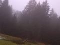 IMG-20120303-00112
