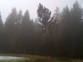 IMG-20120303-00114