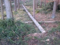 IMG-20120303-00115