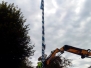 Maibaum entfernen - 19.09.2015