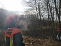 IMG_20200215_1014596