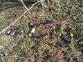 IMG_20200215_1238022