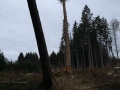 IMG-20180314-WA0006.jpg