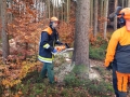 IMG-20181125-WA0007