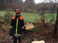 IMG-20181125-WA0012