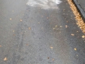 IMG-20161003-WA017.jpg
