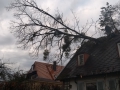 IMG_20190313_072830913