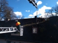 IMG_20190313_095745209