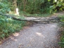 Sturmschaden - 15.08.2015