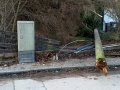IMG-20180118-WA0001.jpg