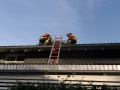 IMG-20190610-WA0046