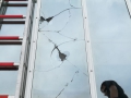 IMG-20190611-WA0030