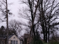 IMG_20200204_0758220