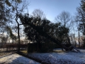 IMG-20200228-WA0000