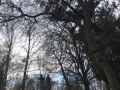 IMG-20200228-WA0001