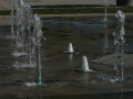 IMG_8444