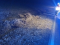 IMG_20191121_1923362